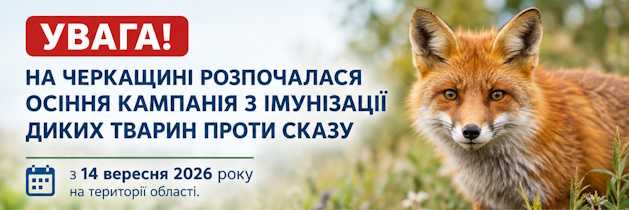 УВАГА! НА ЧЕРКАЩИНІ РОЗПОЧАЛАСЯ ОСІННЯ КАМПАНІЯ З ІМУНІЗАЦІЇ ДИКИХ ТВАРИН ПРОТИ СКАЗУ